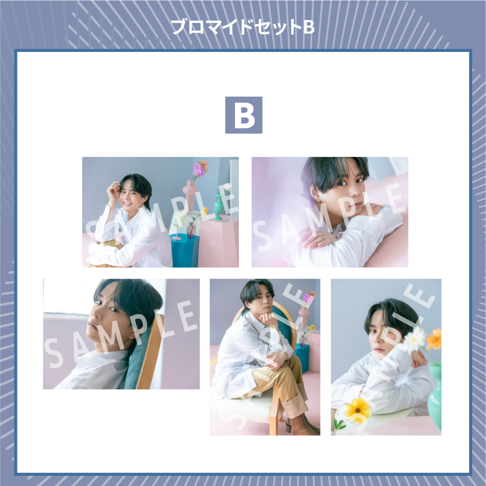 ブロマイドセットB